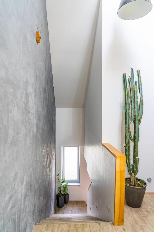 Apartmán ZA-KA 1 ubytování Litovel Cervenka Exteriér fotografie