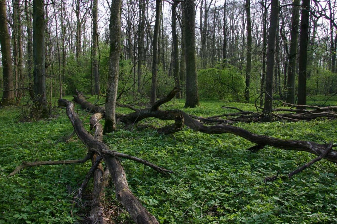 Apartmán ZA-KA 1 ubytování Litovel Cervenka Exteriér fotografie